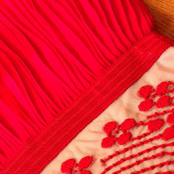 Anthropologie Rubied Dusk Maxi Long Pleated Dress Gown 10 Rina Dhaka - Picture 6 of 8